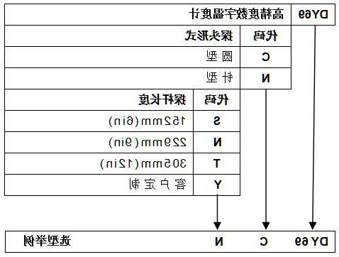 DY-69高精度数字温度计